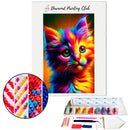 Broderie diamant Chaton Multicolore | Diamond-painting-club.com