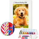 Broderie diamant Chiot Labrador | Diamond-painting-club.com