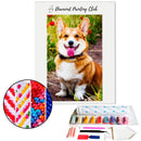 Broderie diamant Corgi | Diamond-painting-club.com