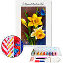 Broderie diamant Fleur de Jonquille | Diamond-painting-club.com