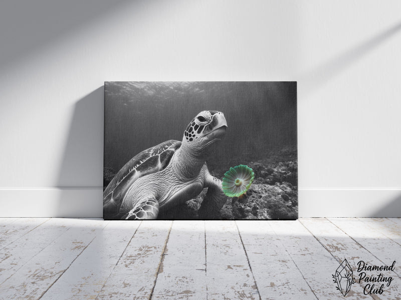 Broderie Diamant Tortue Anémone Contrastée
