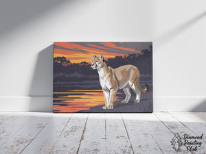 Broderie Diamant Puma au Soleil Couchant