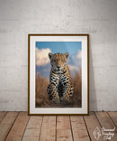 Broderie Diamant Portrait de Jaguar