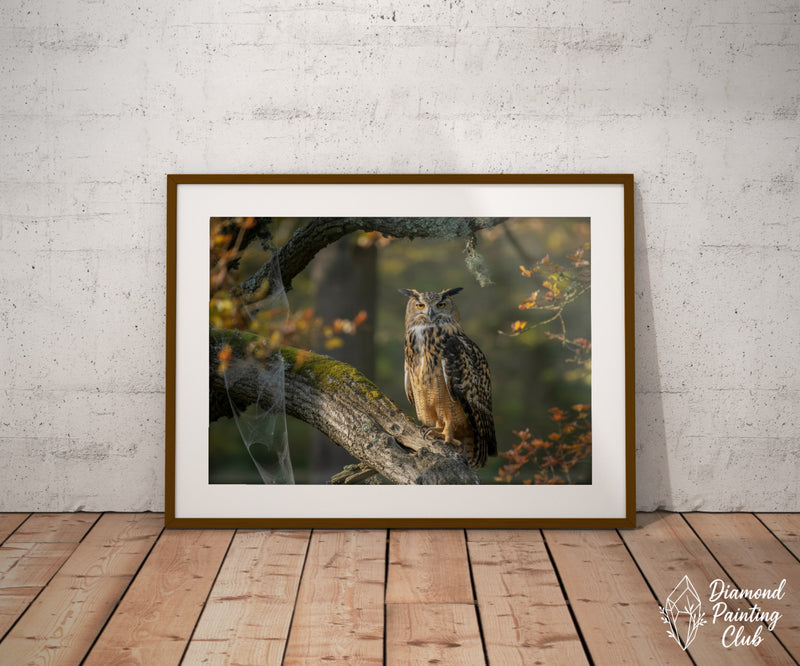 Broderie Diamant Chouette à la Lumière