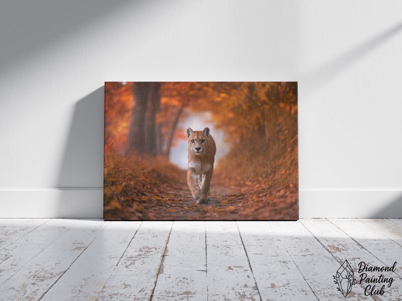 Broderie Diamant Puma d'Automne