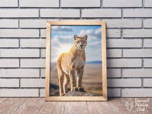 Broderie Diamant Puma Majestueux
