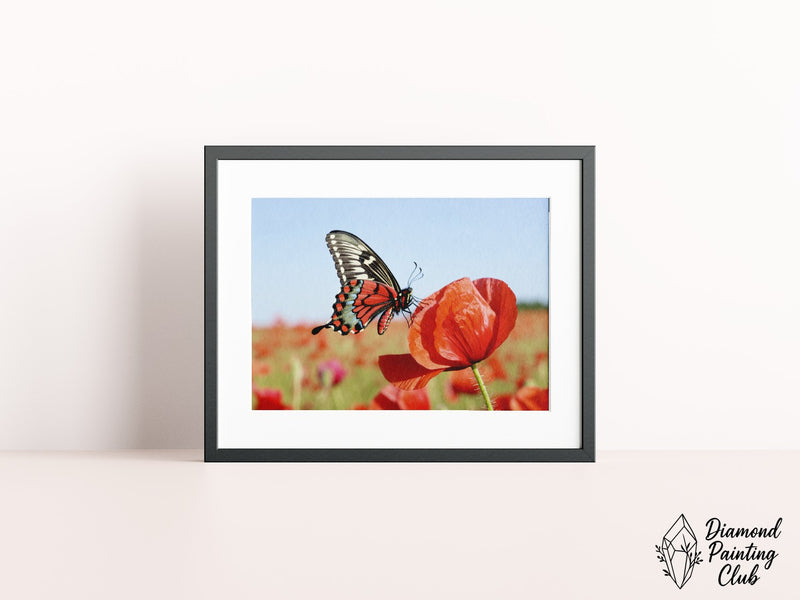 Broderie Diamant Papillon et Coquelicot