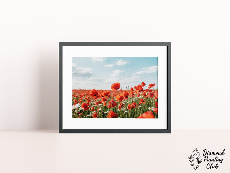 Broderie Diamant Champ de Coquelicots