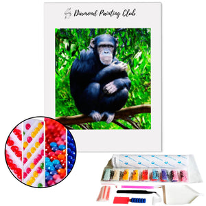 Broderie diamant Chimpanzé | 💎 Diamond Painting Club