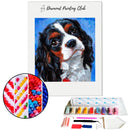 Broderie diamant Cavalier King Charles | Diamond-painting-club.com