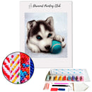 Broderie diamant Bébé Husky | 💎 Diamond Painting Club