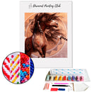 Broderie diamant Cheval Apache | 💎 Diamond Painting Club
