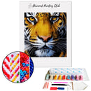 Broderie diamant Regard du Tigre | 💎 Diamond Painting Club