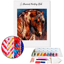 Broderie diamant Cheval indien | Diamond Painting Club