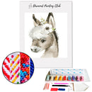 Broderie diamant Petit Ane mignon  | 💎 Diamond Painting Club