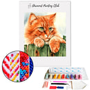 Broderie diamant Chat roux | 💎 Diamond Painting Club