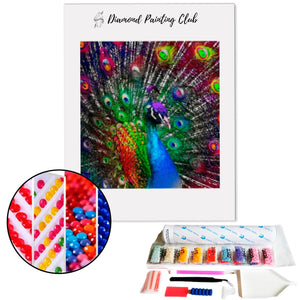 Broderie diamant Paon Multicolore | 💎 Diamond Painting Club
