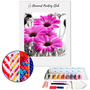 Broderie diamant Marguerite Violette  | 💎 Diamond Painting Club