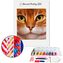 Broderie diamant Visage de Chat | Diamond-painting-club.com