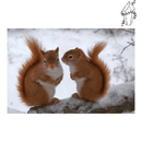 Broderie diamant Couple d'écureuil | 💎 Diamond Painting Club
