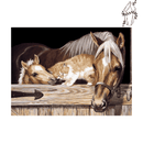 Broderie diamant Poulain & Chaton | 💎 Diamond Painting Club