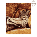 Broderie diamant Chat & Journal | 💎 Diamond Painting Club