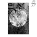 Broderie diamant Lune lugubre | 💎 Diamond Painting Club
