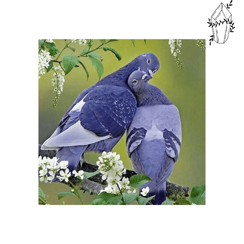 Broderie diamant Couple de pigeon | 💎 Diamond Painting Club