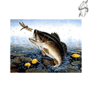 Broderie diamant Poisson Carnassier | 💎 Diamond Painting Club