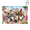 Broderie diamant Animaux domestiques | Diamond-painting-club.com