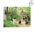 Broderie diamant Chaton & Caneton  | 💎 Diamond Painting Club