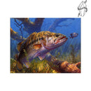 Broderie diamant Poisson Carnassier | Diamond-painting-club.com
