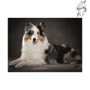 Broderie diamant Berger Australien  | 💎 Diamond Painting Club