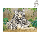 Broderie diamant Tigre Blanc & ses tigreaux  | 💎 Diamond Painting Club