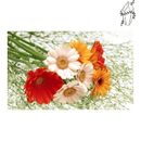 Broderie diamant Bouquet de fleurs  | 💎 Diamond Painting Club