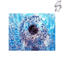 Broderie diamant Pissenlit Bleu | 💎 Diamond Painting Club