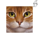 Broderie diamant Visage de Chat | Diamond-painting-club.com
