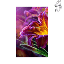 Broderie diamant Hémérocalle jaune violet | 💎 Diamond Painting Club
