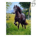Broderie diamant Cheval Noir trotinant | 💎 Diamond Painting Club