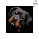 Broderie diamant Rottweiler Joueur | 💎 Diamond Painting Club