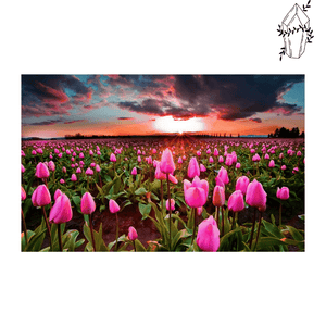 Broderie diamant Tulipe en fleurs et coucher de soleil | 💎 Diamond Painting Club