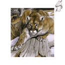 Broderie diamant Puma | 💎 Diamond Painting Club