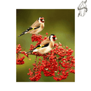 Broderie diamant Chardonneret élégant  | 💎 Diamond Painting Club