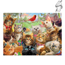 Broderie diamant Compagnie féline | Diamond-painting-club.com