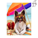 Broderie diamant Spitz sur la plage | 💎 Diamond Painting Club