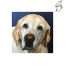 Broderie diamant Labrador Senior | Diamond-painting-club.com