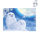 Broderie diamant Chouette blanche  | 💎 Diamond Painting Club