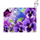 Broderie diamant Pensées & papillon | 💎 Diamond Painting Club