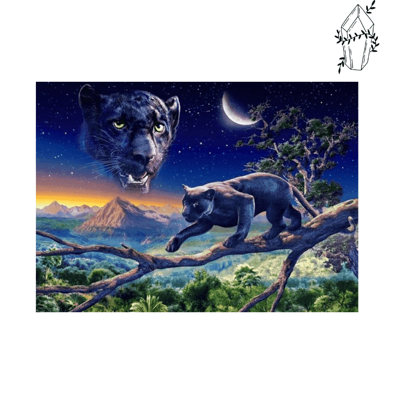 Kit Peinture Diamant 5D Adulte - Panthère Noire - Format 20x30 Cm - Artisanat DIY Strass Avec Toile Et Accessoires - Modèle 856