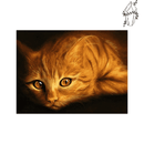 Broderie diamant Chat roux | 💎 Diamond Painting Club